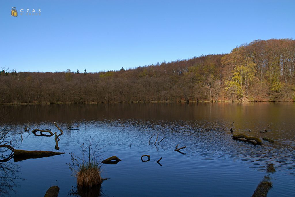 Jezioro polodowcowe w Parku Narodowym Jasmund