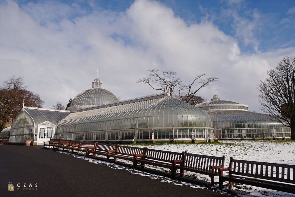 Ogrody botaniczne - Kibble Palace