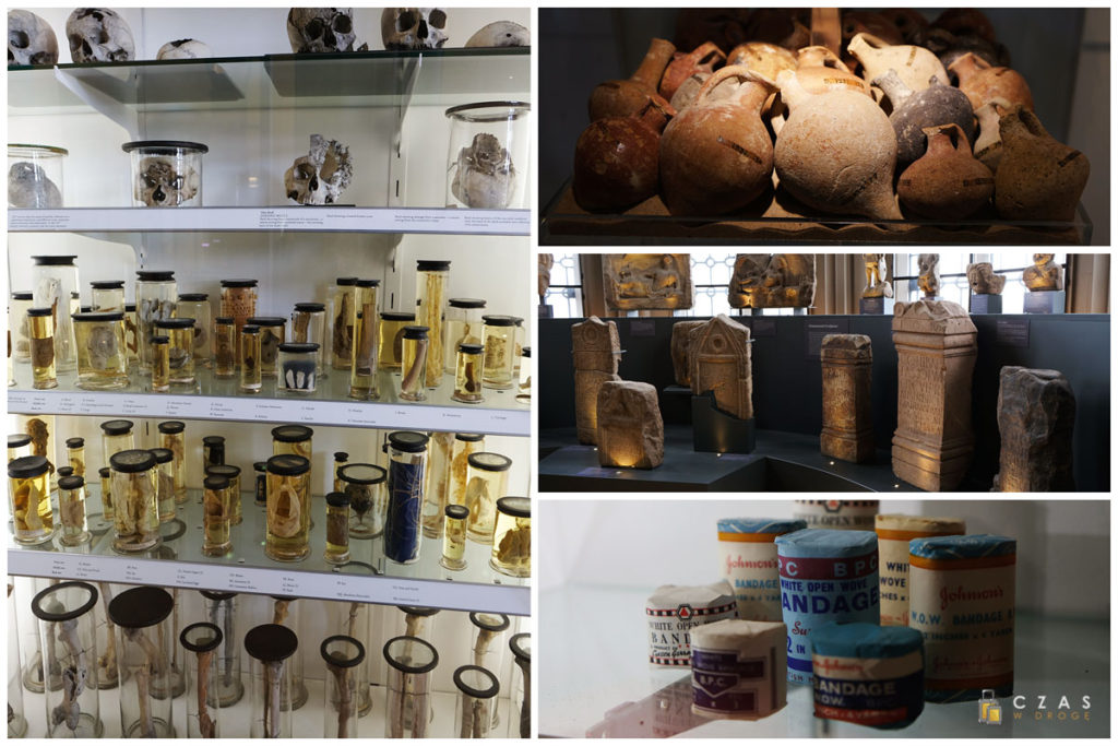 Kilka z eksponatów zgromadzonych w Hunterian Museum
