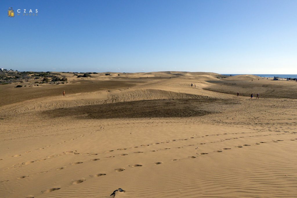 Dunas de Maspalomas