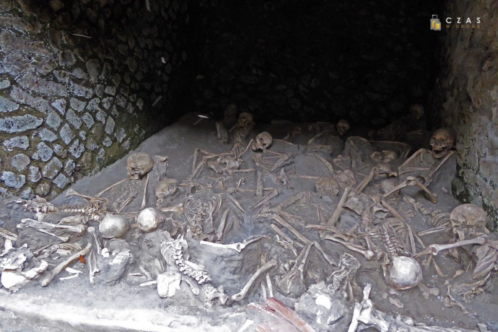 Szczątki mieszkańców Herkulanum odnalezione na nabrzeżu