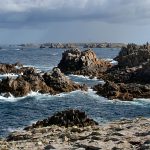 Ile d’Ouessant – Wyspa mgieł