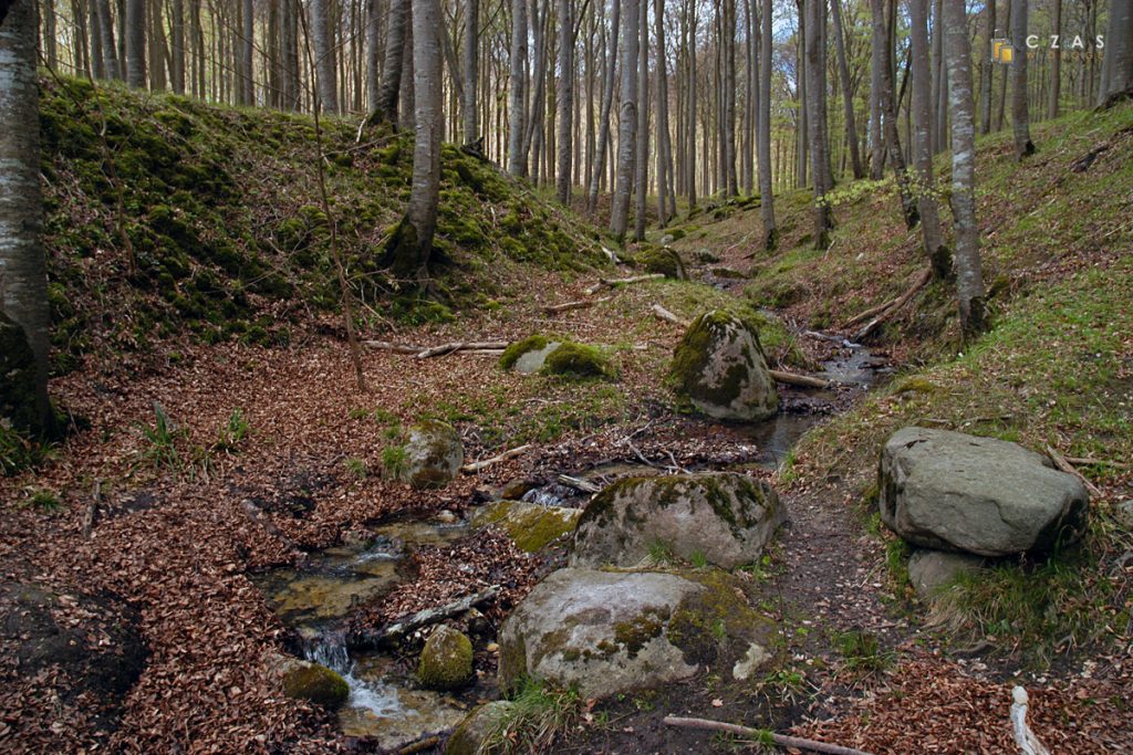 Strumień Kollicker