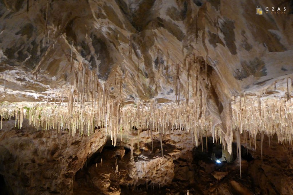Jaskinie Javoříčske - ogromna ilość stalaktytów