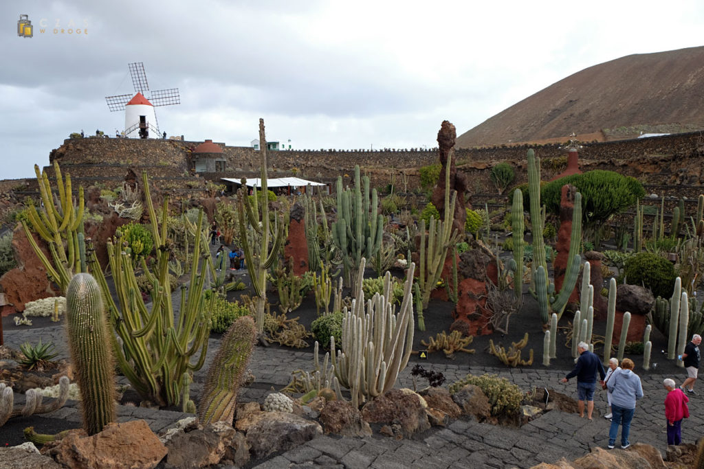 Jardin de Cactus - popularna atrakcja Lanzarote