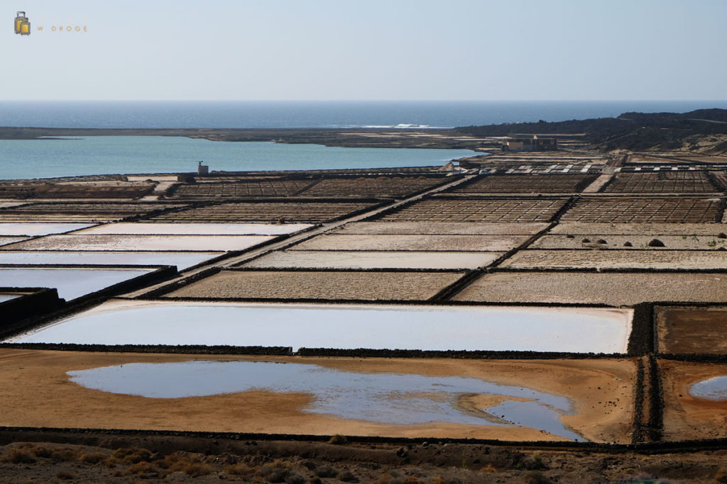 Salinas de Janubio