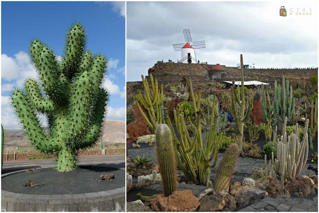 Jardin de Cactus - charakterystyczny kaktus z metalu ;) oraz młyn górujący nad ogrodem