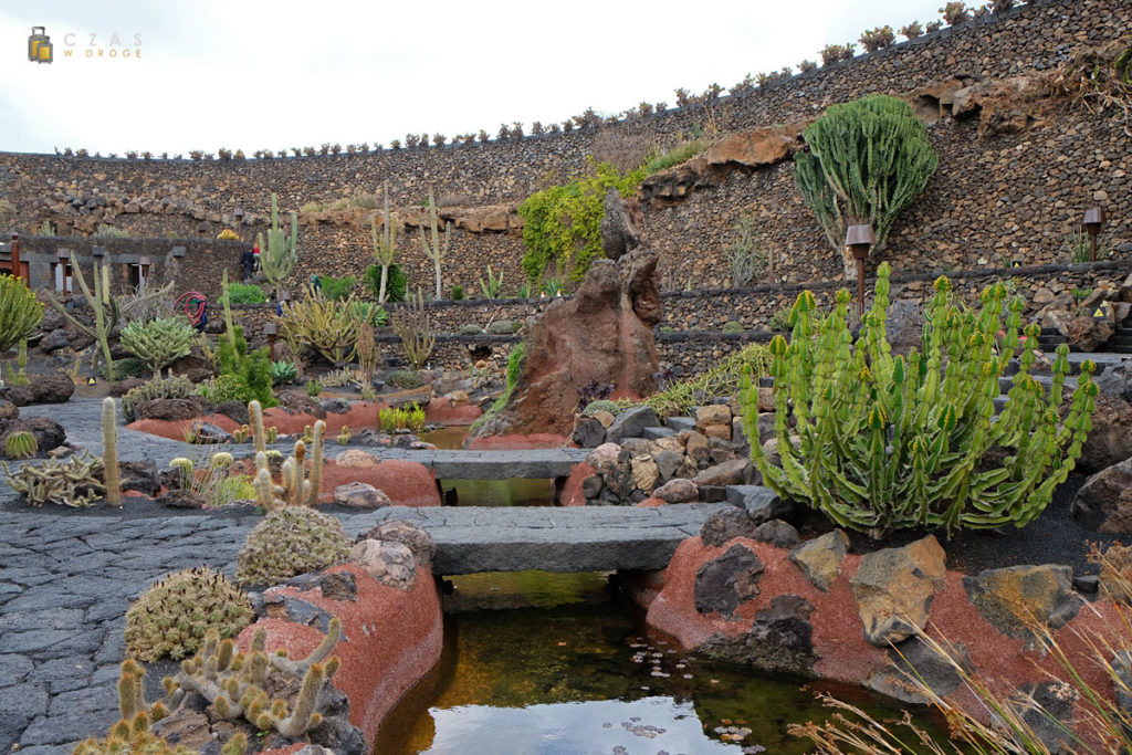 Jardin de Cactus