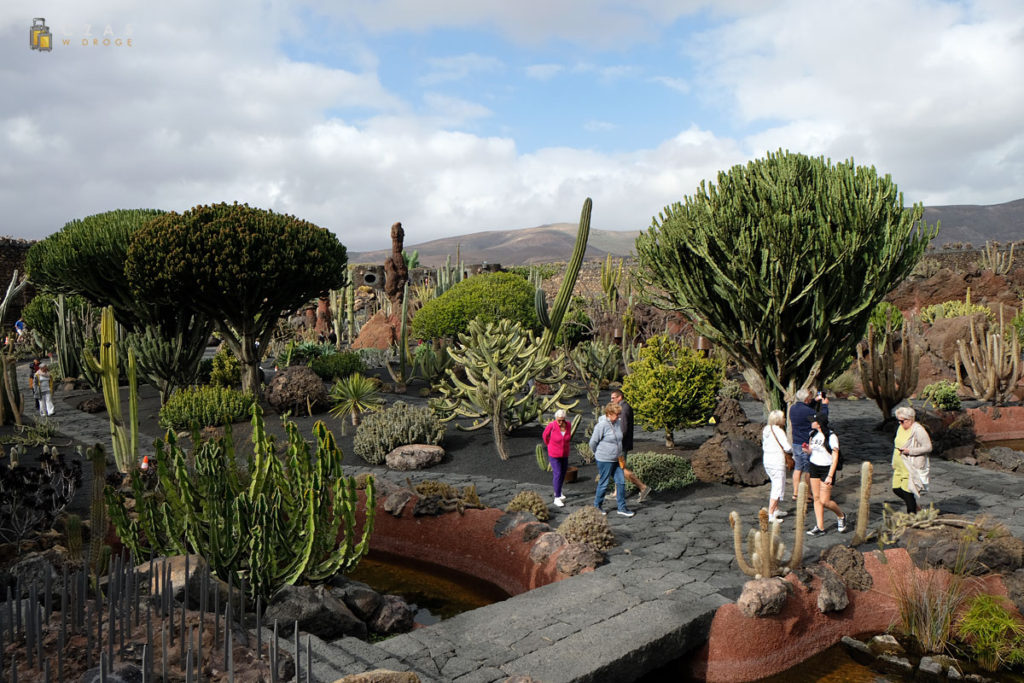 Jardin de Cactus