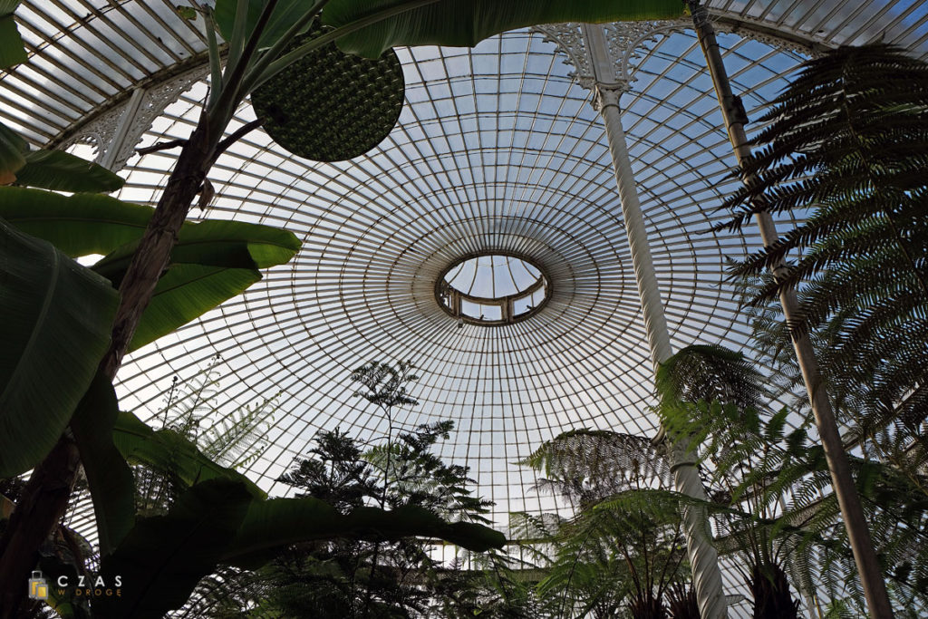 Wspaniały dach Kibble Palace