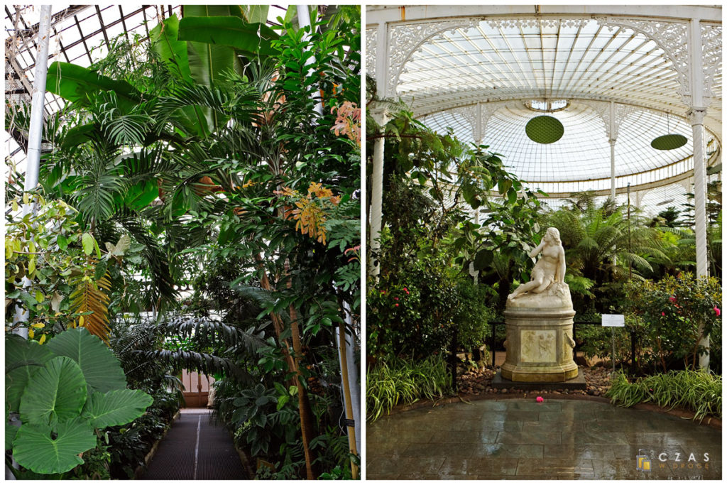 Wnętrza Kibble Palace