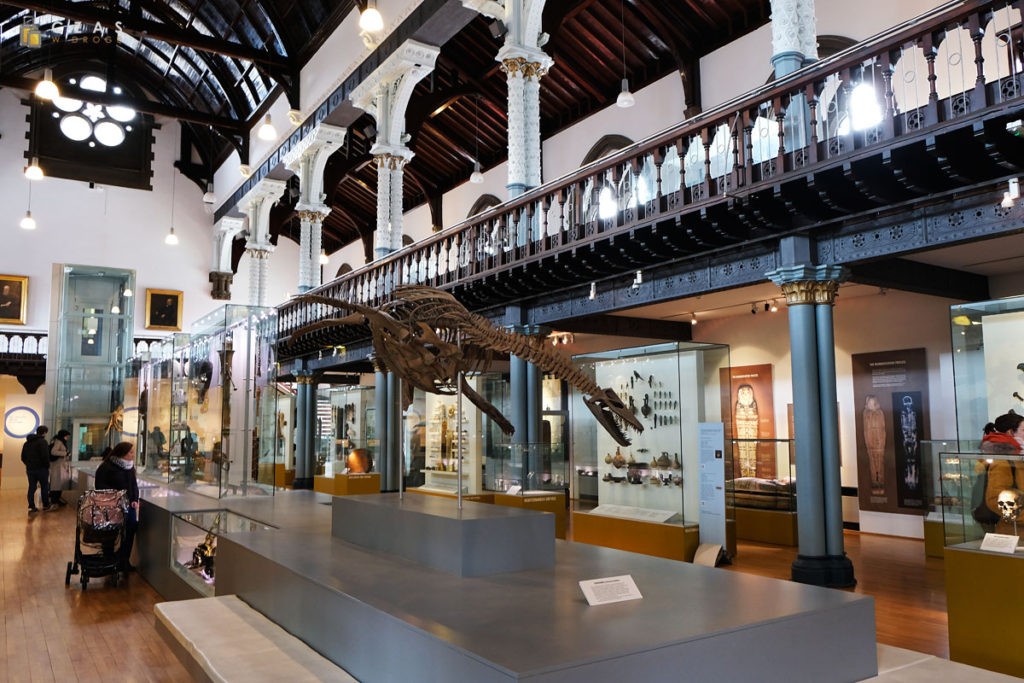 Hunterian Museum