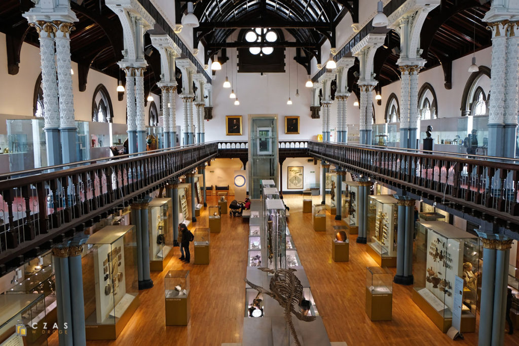 Hunterian Museum